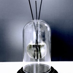 Reed Diffuser 100 ml + 4 Fiber Sticks